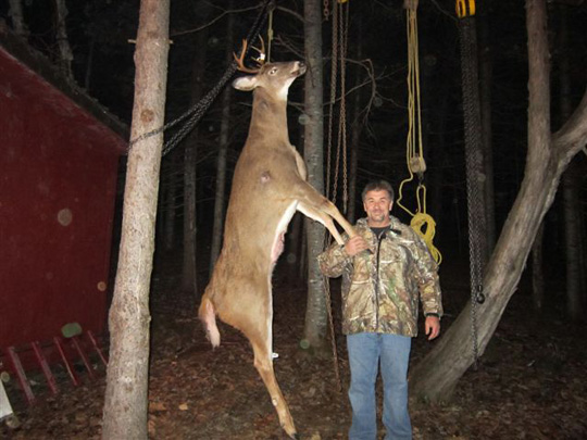 Deer 2012