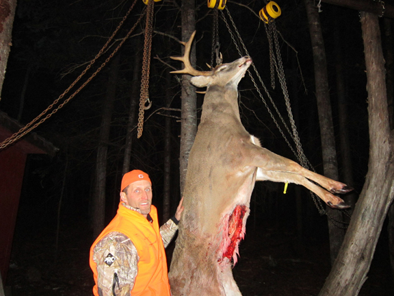 Deer 2013
