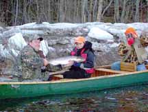 Salmon Ray Wyatt Allen