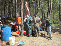 Guides skinning bears for hunters