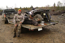 9 Point Bull Moose 36 inch Spread