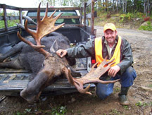 20 Point Bull Moose 52 inch Spread