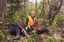 9 Point Bull Moose 36 inch Spread