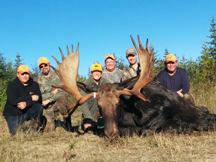 Hunting Party with 50 inch New Brunswick Moose