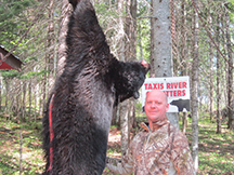 Seanâ€™s black bear hunt is successful at taxis river outfitters