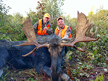 Gary bags a new brunswick bull moose