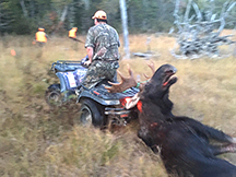 Dale bags a bull moose
