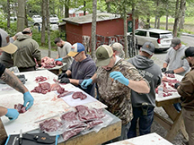 Black Bear Taxis River
